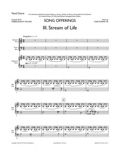 Stream of Life
